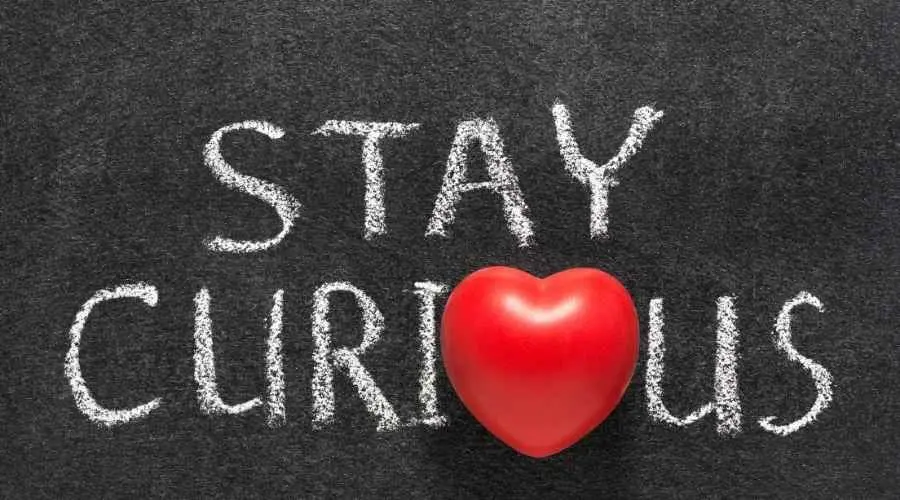 Always Stay Curious 