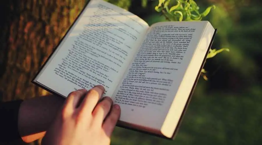 Reading