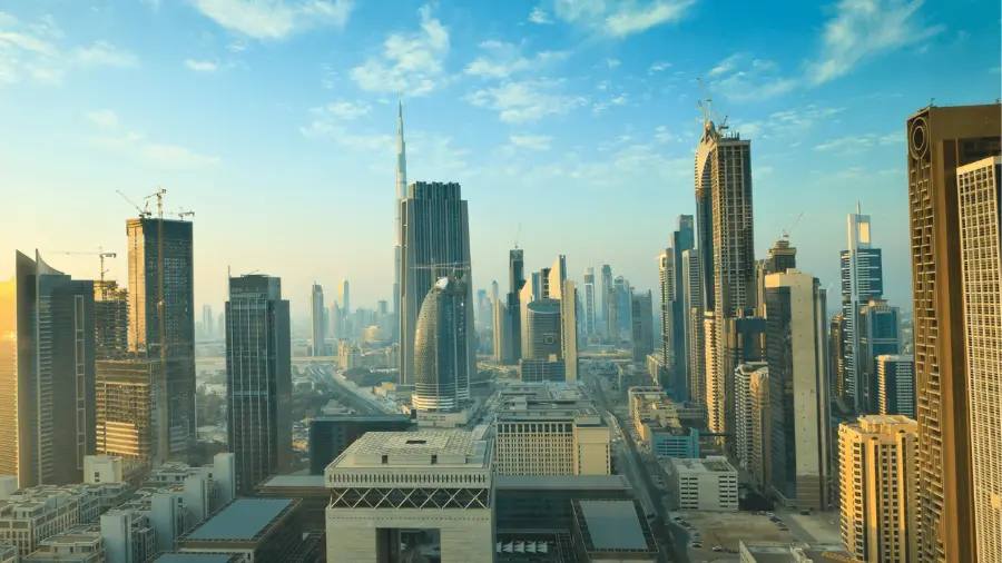 DWTC Company Formation Process