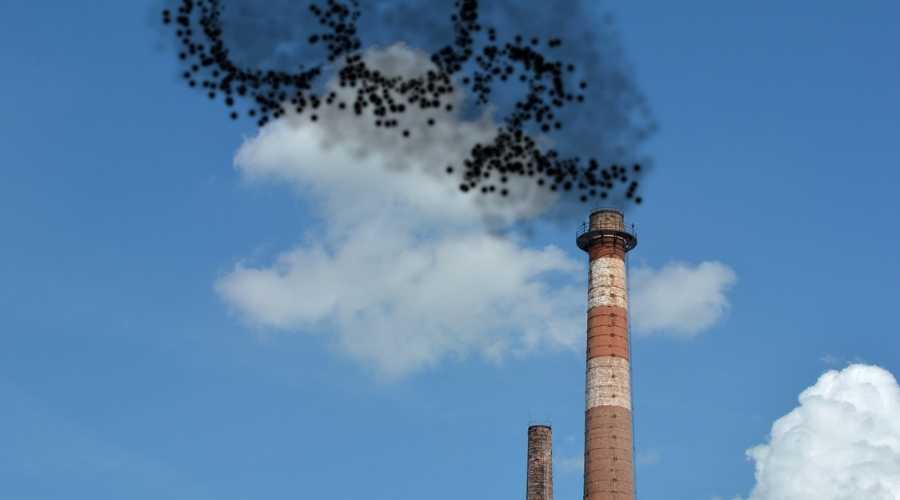 Carbon Emissions Lessons